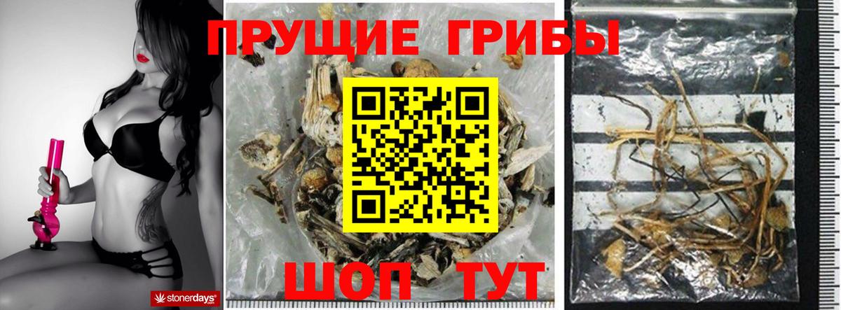 Галлюциногенные грибы ЛСД Хабаровск