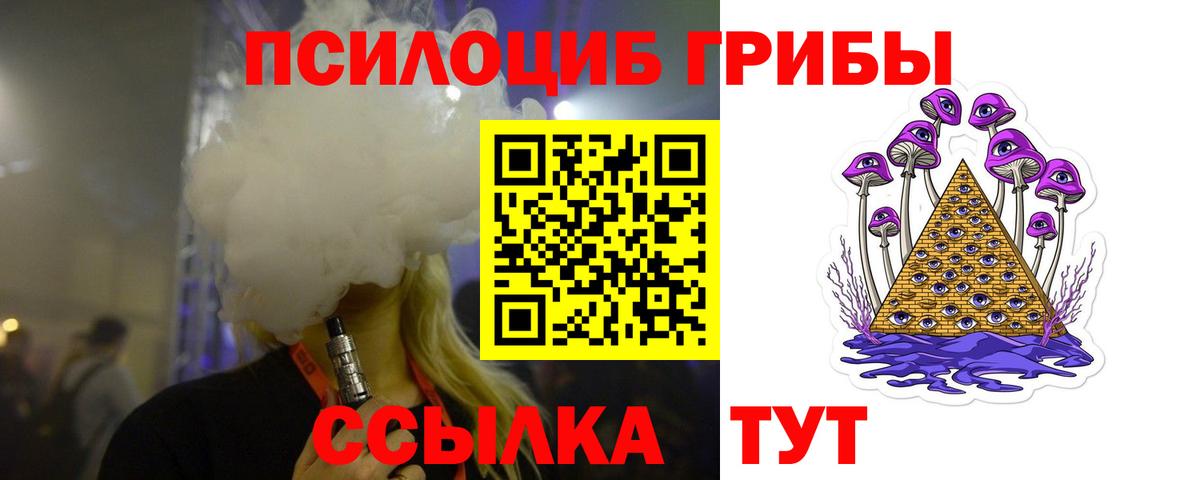 Хабаровск  Галлюциногенные грибы прущие грибы  Вход с VPN 